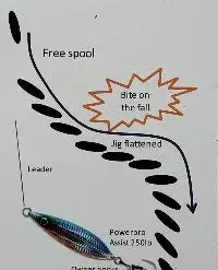 Lures & Bait Shimano Butterfly Flat Fall Jig Blue Sardine