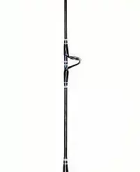 Daiwa Saltiga Dendoh Rod 6' 6