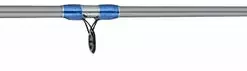 Rods & Combo's Hurricane Salt Tackle BlueFin Rod And Spinning Reel Combo BF902S/3160