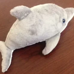 Bluewater Outriggers Beach & Home Port St. Joe Dolphin