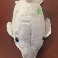 Bluewater Outriggers Beach & Home Port St. Joe Dolphin