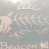 Auto-Graphs Beacon Hill Angry Fish Decal