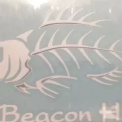 Auto-Graphs Beacon Hill Angry Fish Decal