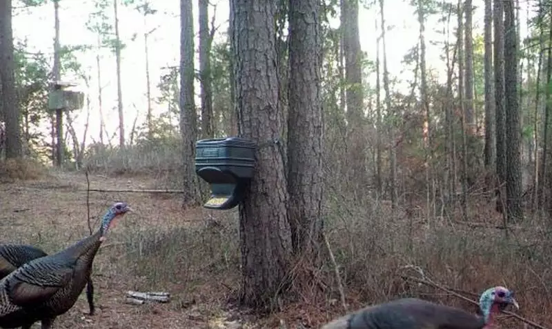 Moultrie 6 Gal. Gravity Feeder Station MFG-13104 Hunting 5 Moultrie 6 Gal. Gravity Feeder Station MFG-13104 Hunting