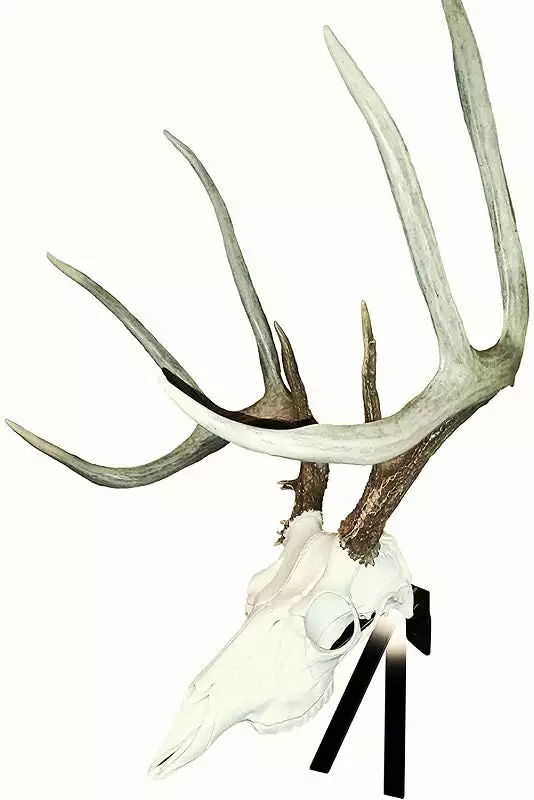 Mountain Mike's Positioner Skull Display Bracket 36378 3 Mountain Mike's Positioner Skull Display Bracket 36378