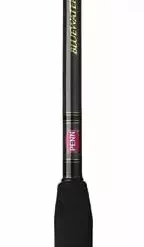 Rods & Combo's Penn Bluewater Carnage Boat Rod 7' 10" CARBW2050C80BS