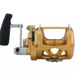 Reels Penn International VI INT50VISW