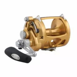 Reels Penn International VI INT50VISW