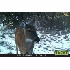 Primos Game Camera Bullet Proof 63053 Hunting