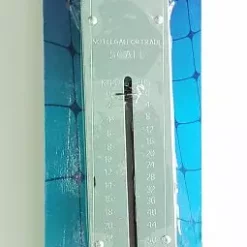 Pucci 50lb Scale With Brass Spring SS-50 LB