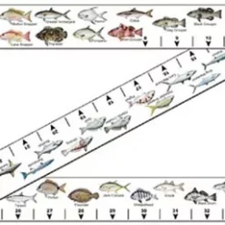 Fishing Accessories Salty Bones Fish Stick