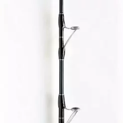 Rods & Combo's Star Rods Plasma II Stand-Up Conventional Rod 6' PIISUA50100C60