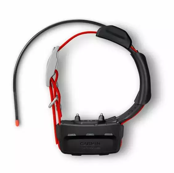 Hunting Garmin TT™ 15X Dog Collar 3 Hunting Garmin TT™ 15X Dog Collar