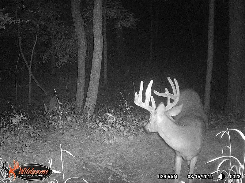 Wildgame Innovations Wildgame Cloak 4 Lightsout Trail Camera K4B1 8 Wildgame Innovations Wildgame Cloak 4 Lightsout Trail Camera K4B1